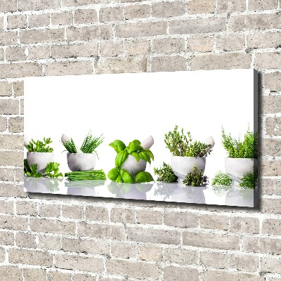 Tableau toile imprimée Herbes