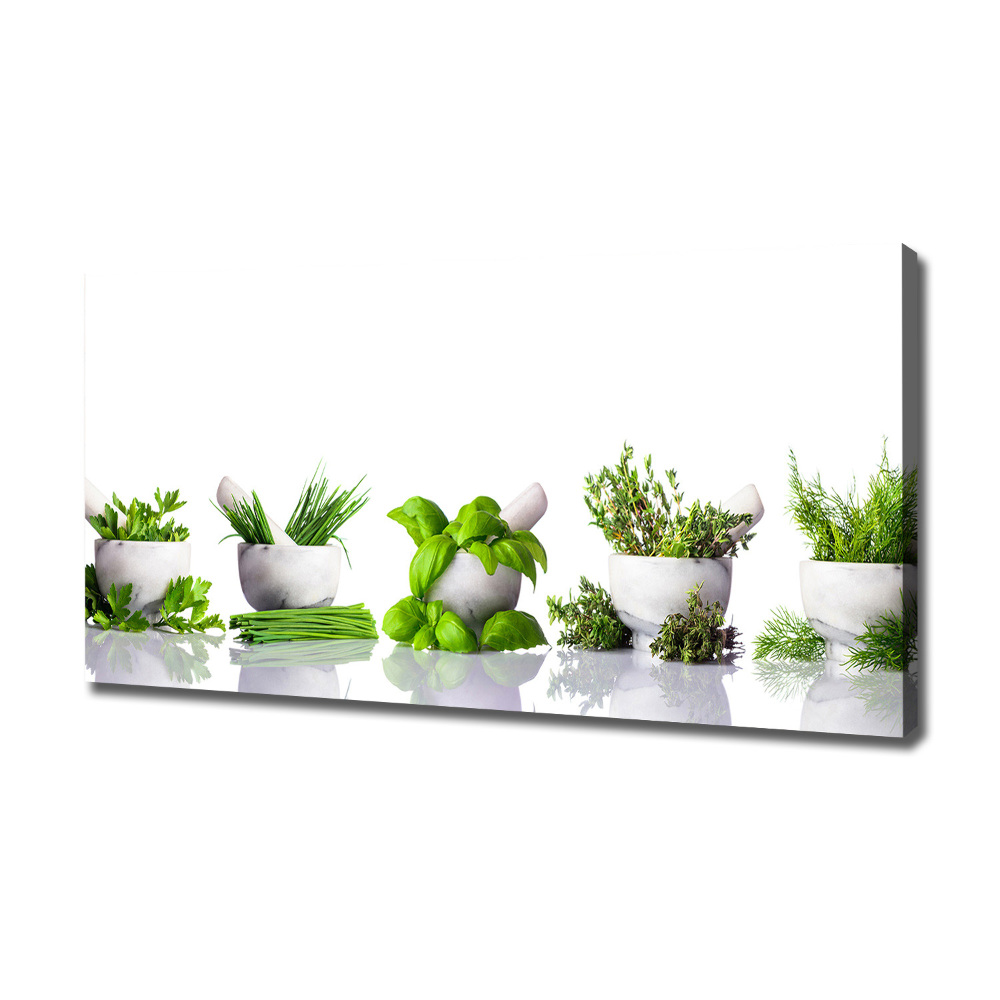 Tableau toile imprimée Herbes