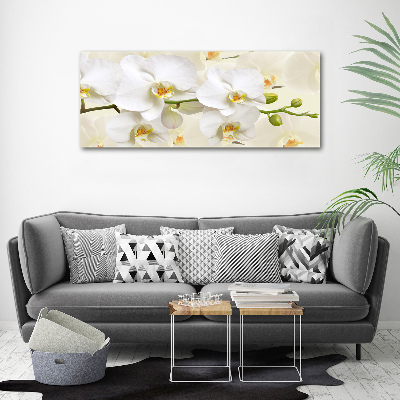 Tableau sur toile Orchidée