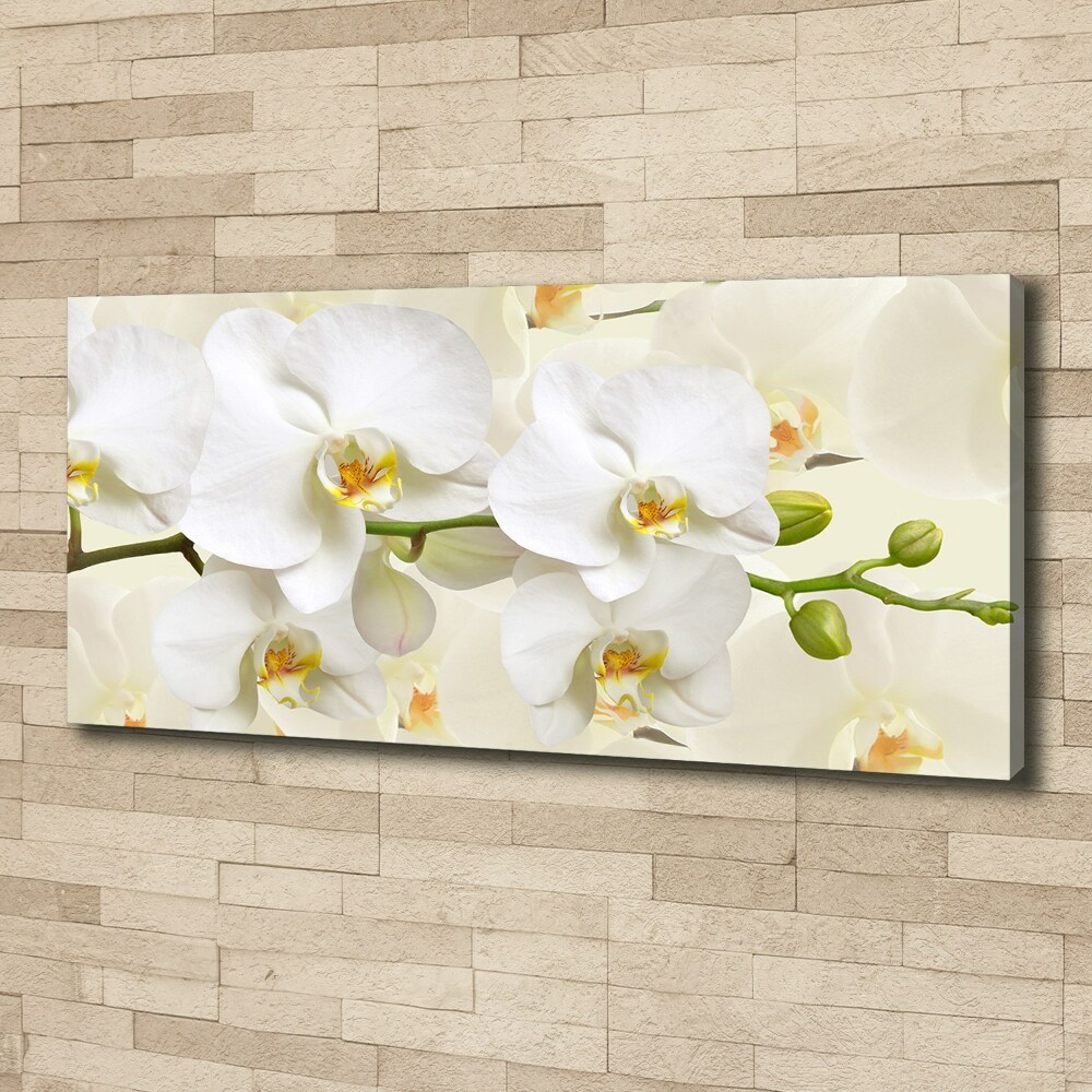 Tableau sur toile Orchidée