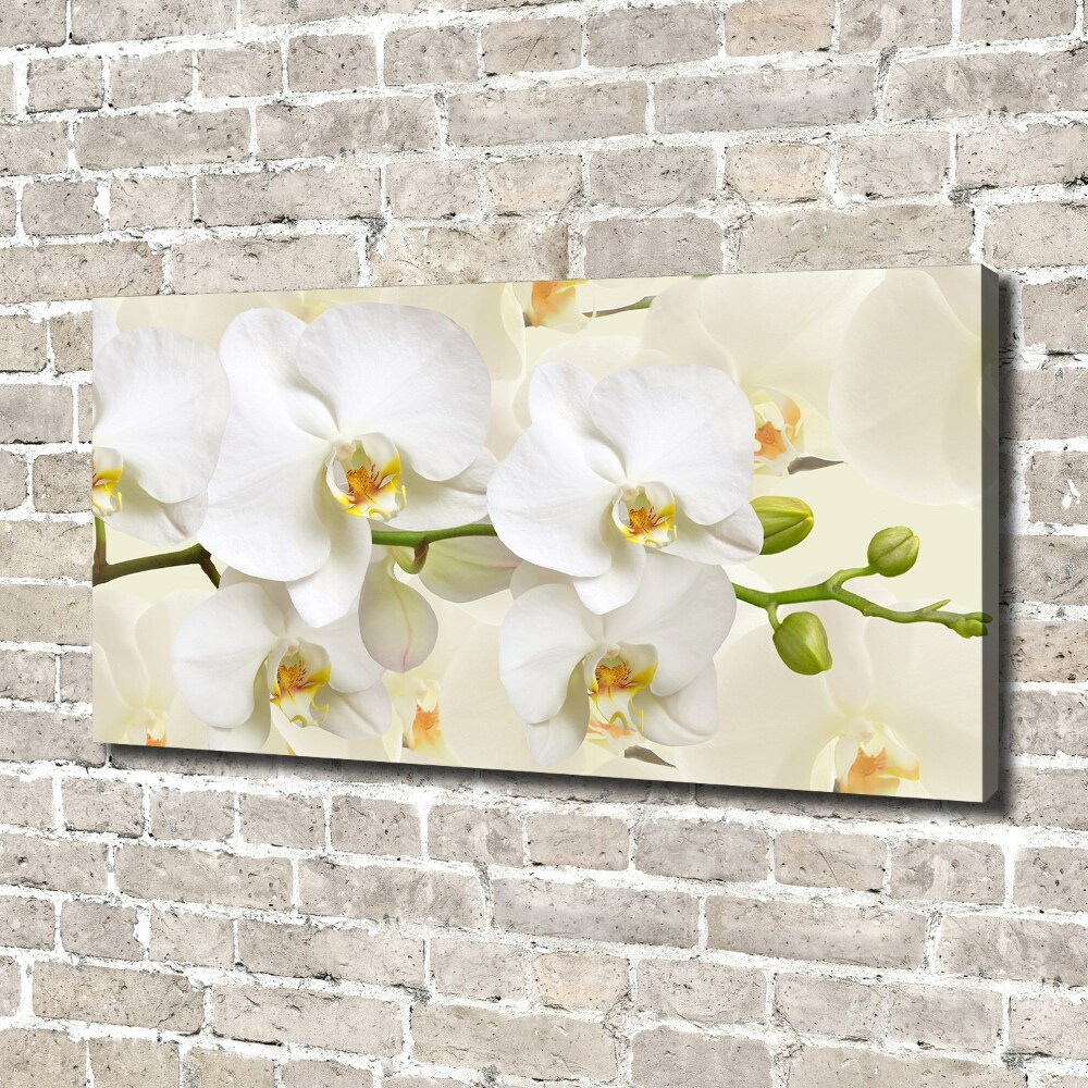 Tableau sur toile Orchidée