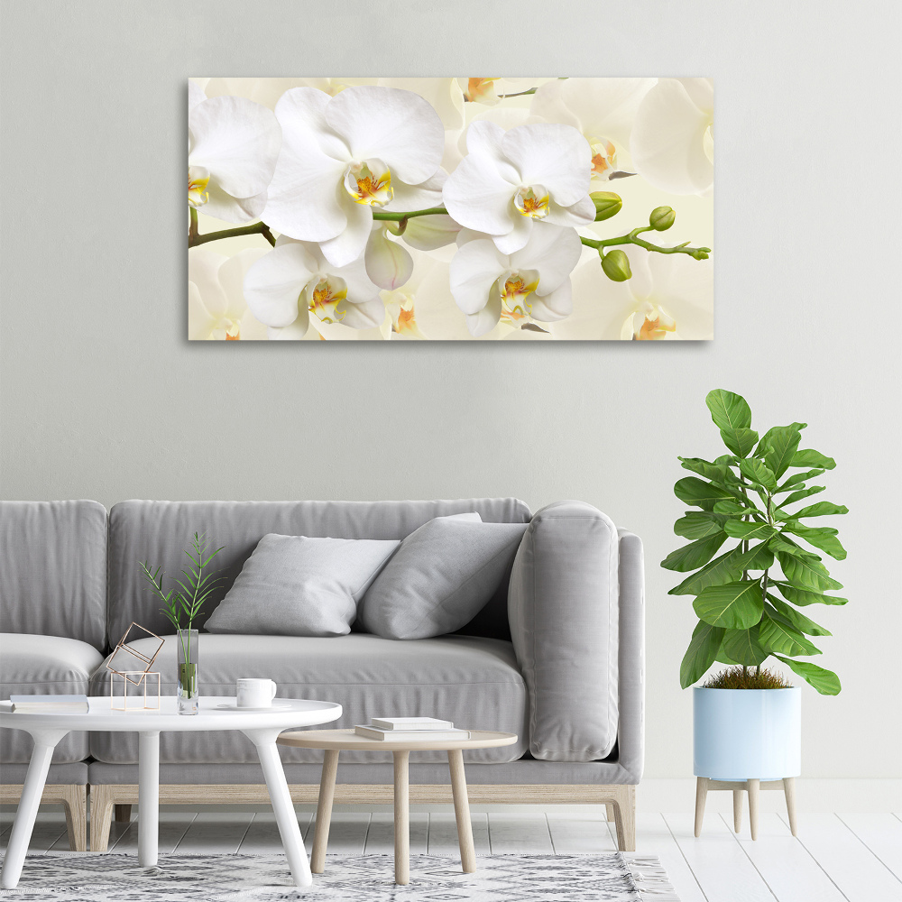 Tableau sur toile Orchidée