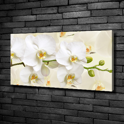 Tableau sur toile Orchidée