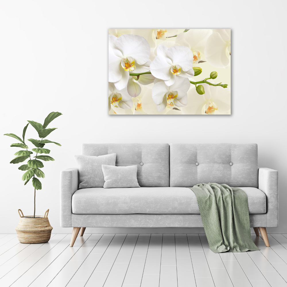 Tableau sur toile Orchidée