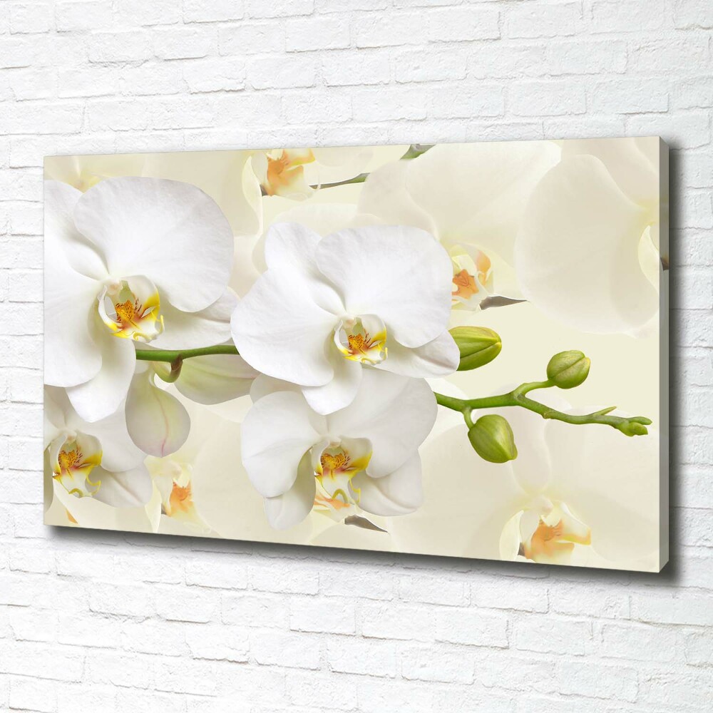 Tableau sur toile Orchidée