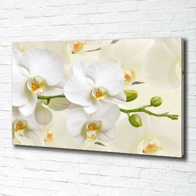 Tableau sur toile Orchidée