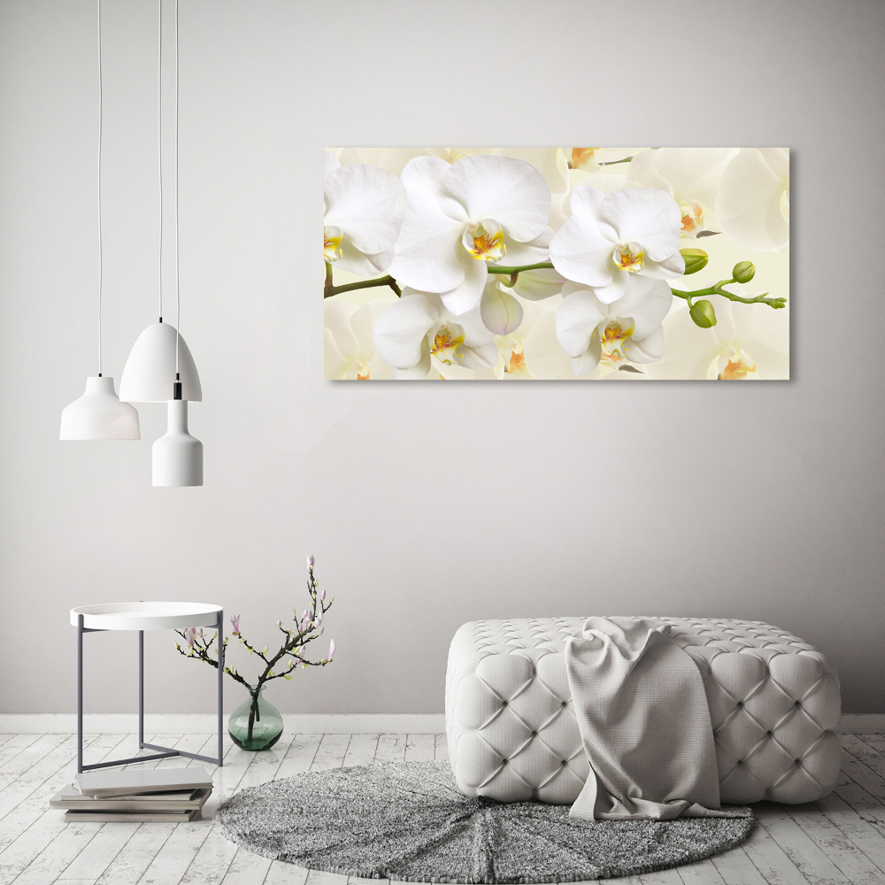 Tableau sur toile Orchidée