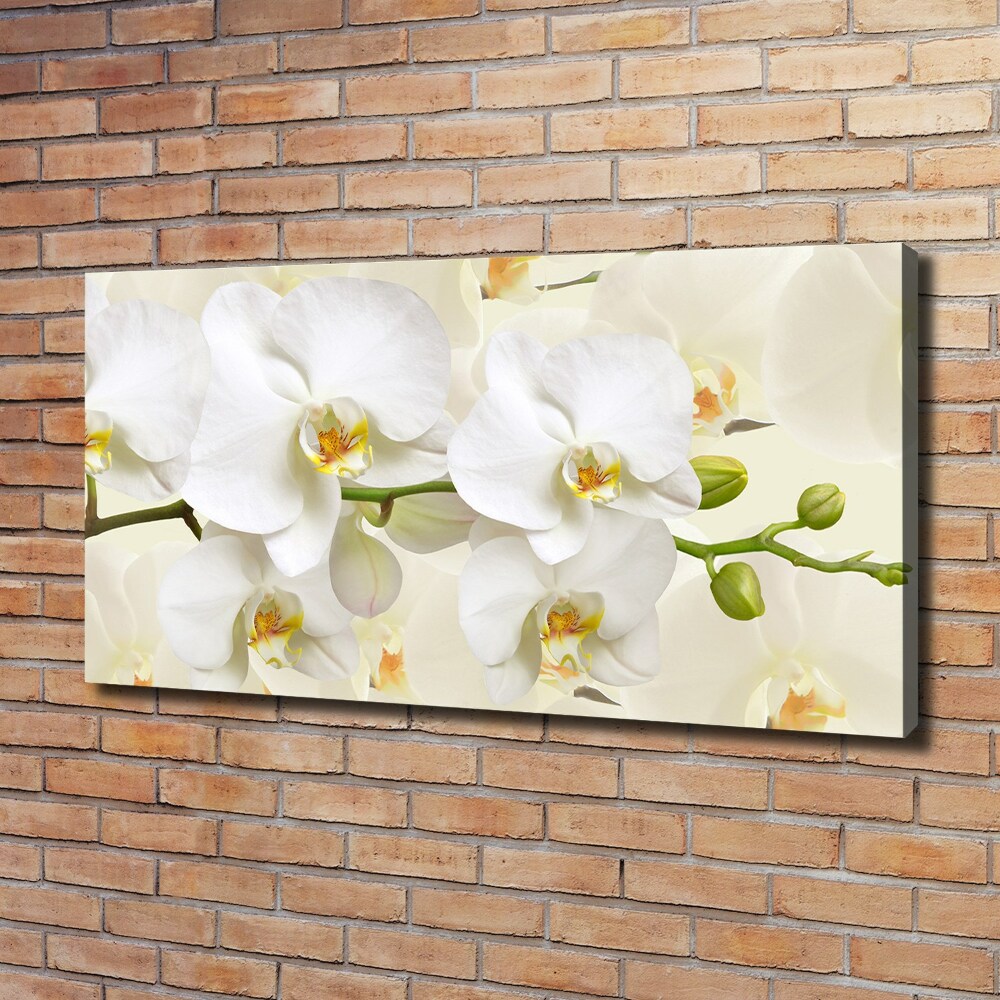 Tableau sur toile Orchidée