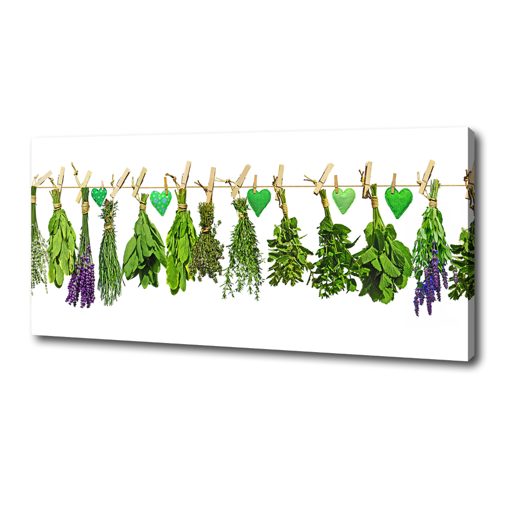 Tableau toile imprimée Herbes sur un fil