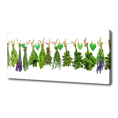 Tableau toile imprimée Herbes sur un fil