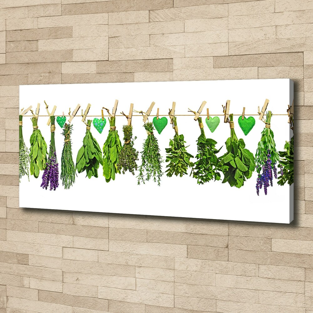 Tableau toile imprimée Herbes sur un fil