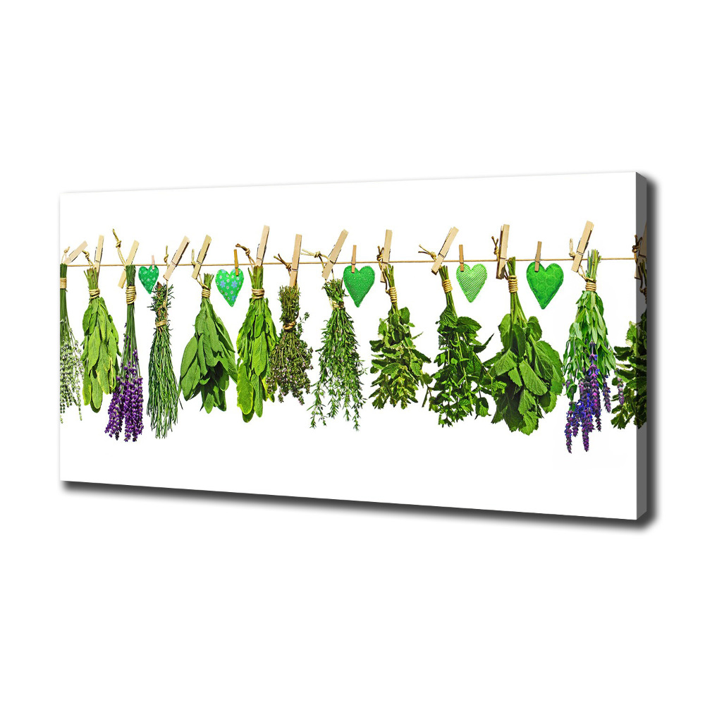 Tableau toile imprimée Herbes sur un fil