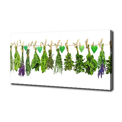 Tableau toile imprimée Herbes sur un fil