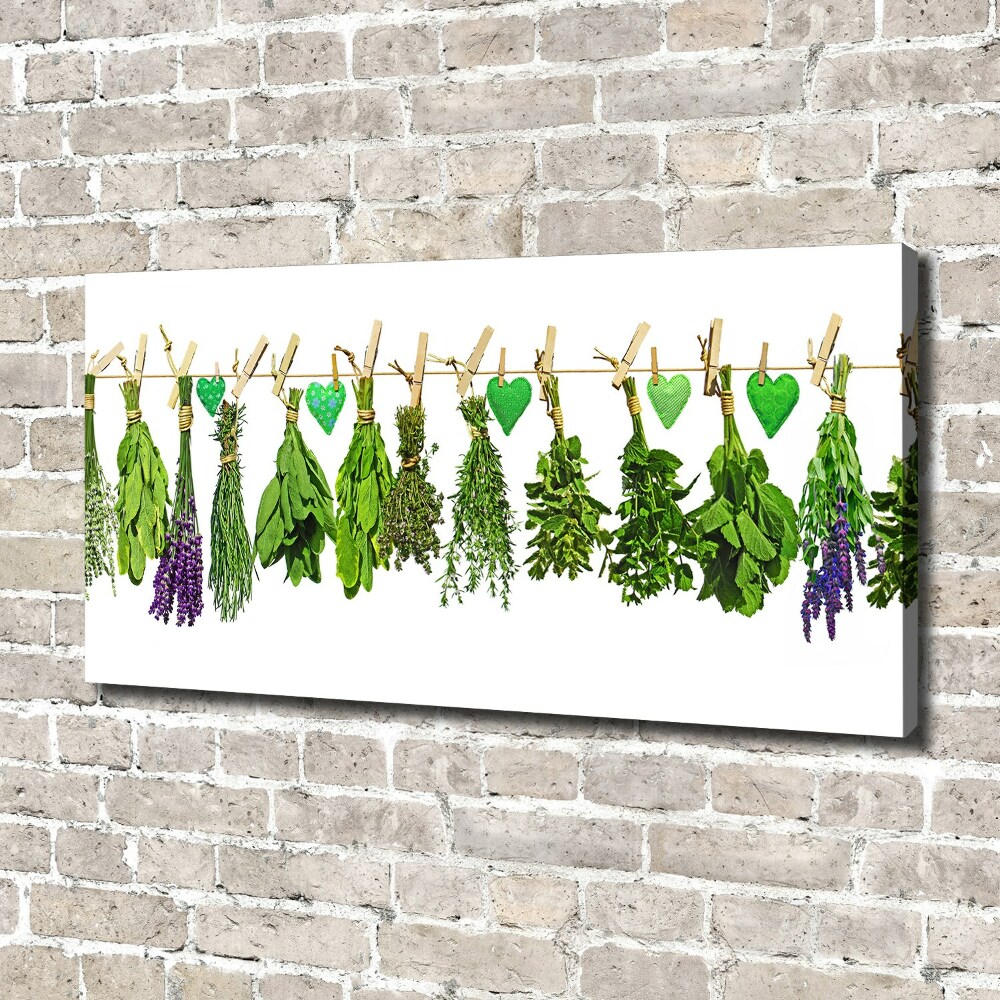 Tableau toile imprimée Herbes sur un fil