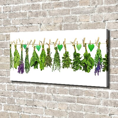 Tableau toile imprimée Herbes sur un fil