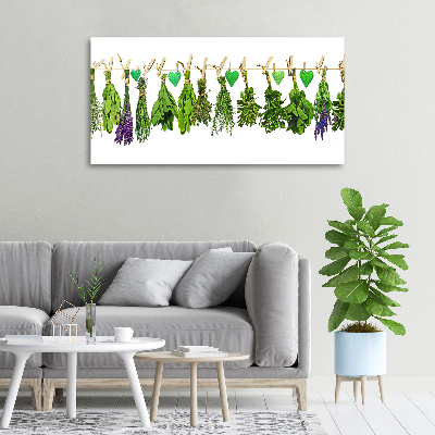 Tableau toile imprimée Herbes sur un fil