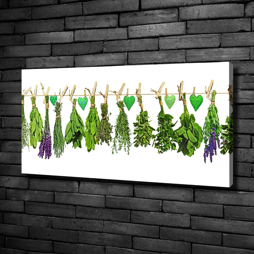 Tableau toile imprimée Herbes sur un fil