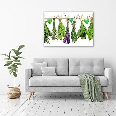 Tableau toile imprimée Herbes sur un fil