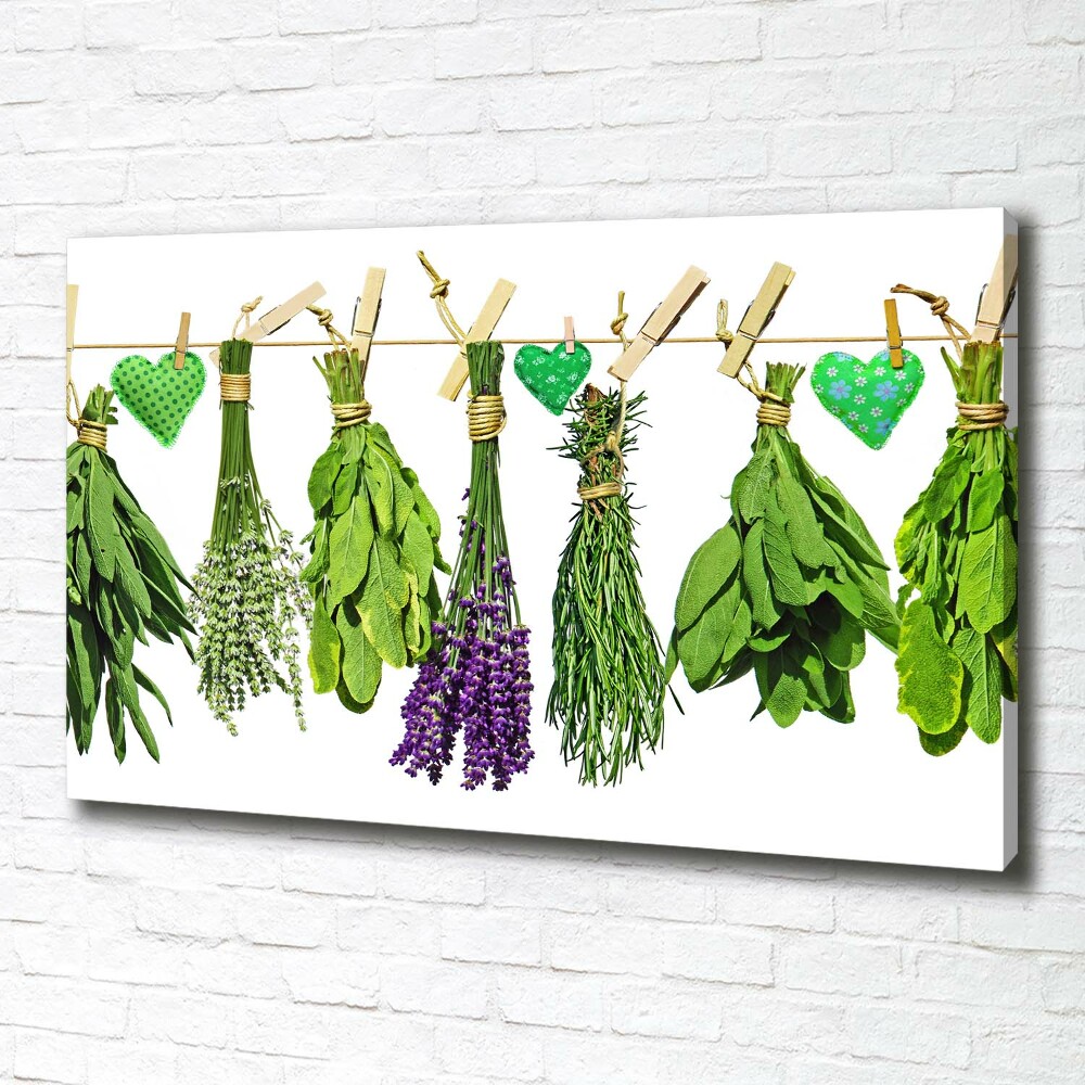 Tableau toile imprimée Herbes sur un fil