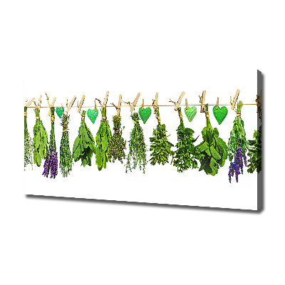 Tableau toile imprimée Herbes sur un fil