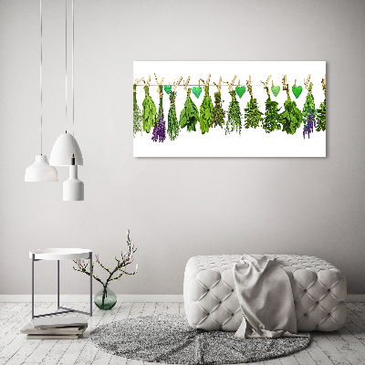 Tableau toile imprimée Herbes sur un fil