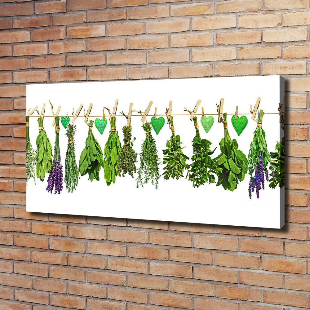 Tableau toile imprimée Herbes sur un fil