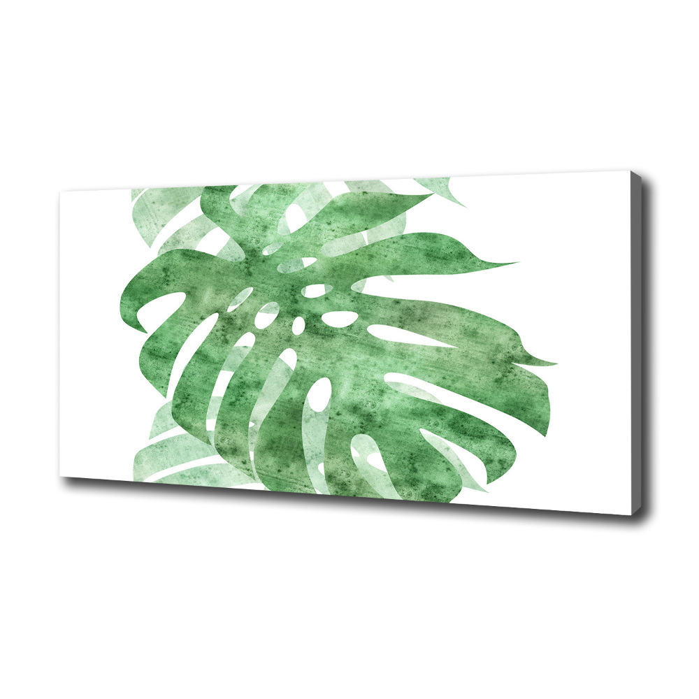 Tableau imprimé sur toile Monstera