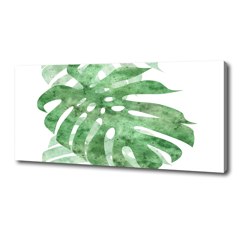 Tableau imprimé sur toile Monstera