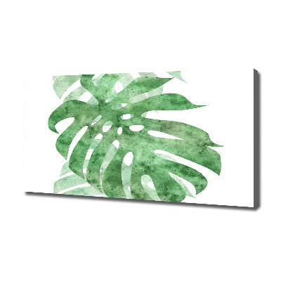 Tableau imprimé sur toile Monstera