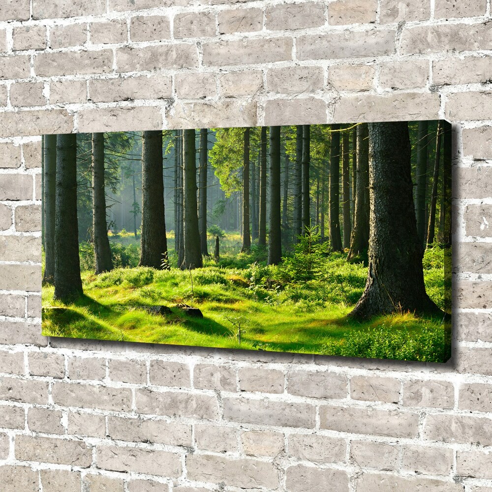 Tableau toile imprimée Forêt d'épicéas