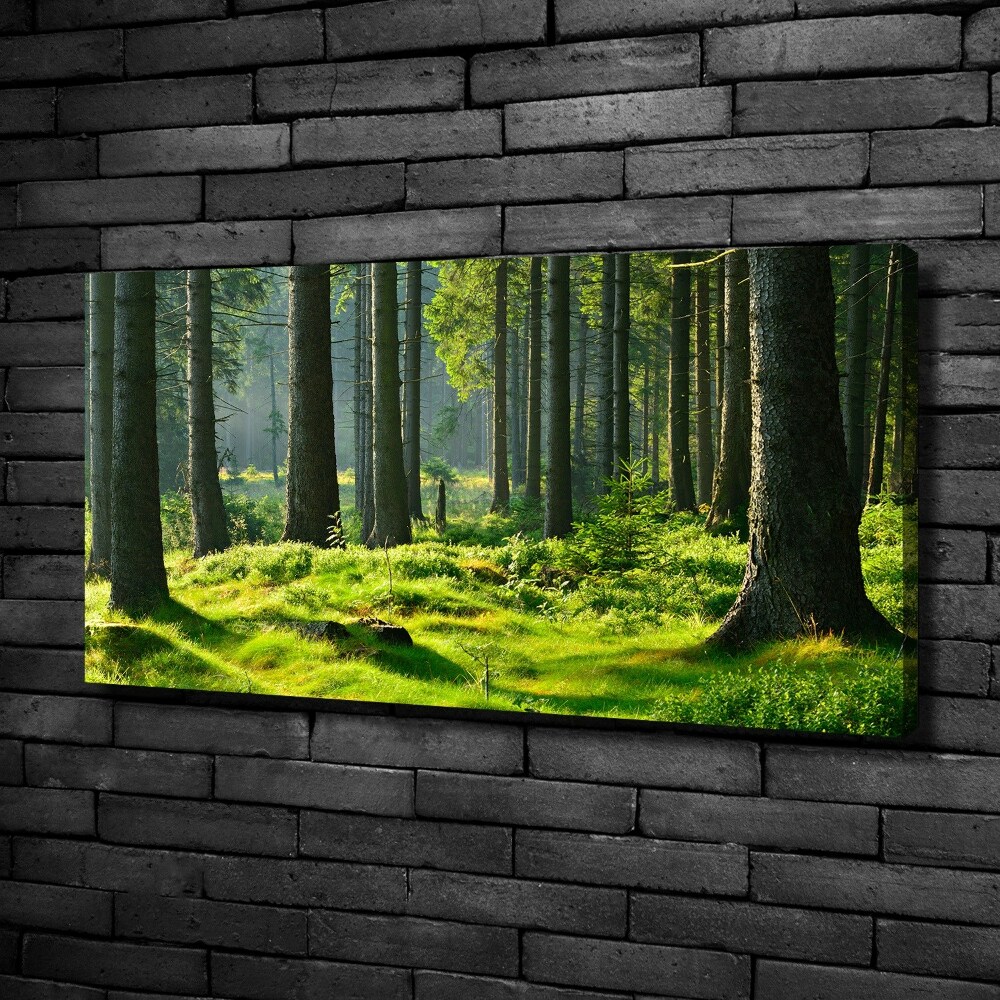 Tableau toile imprimée Forêt d'épicéas