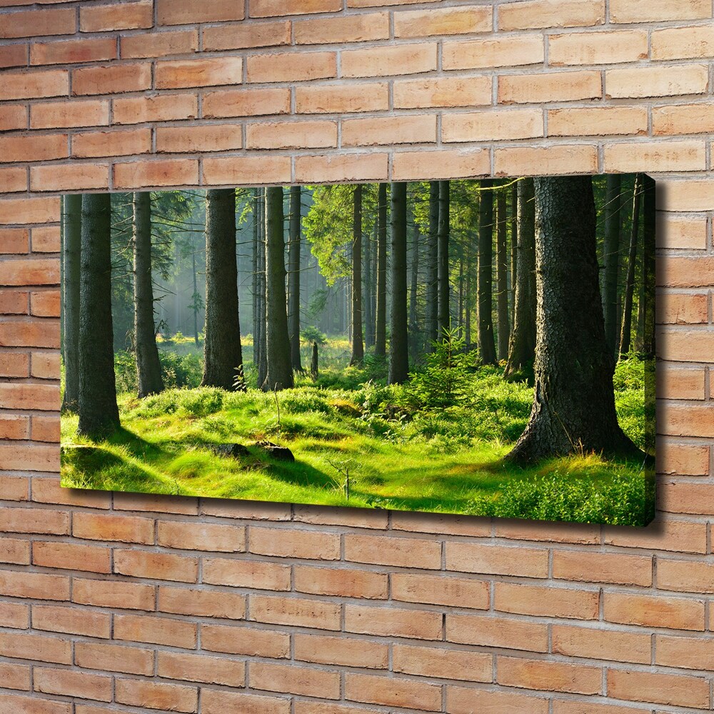 Tableau toile imprimée Forêt d'épicéas