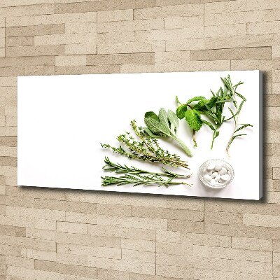 Tableau imprimé sur toile Herbes