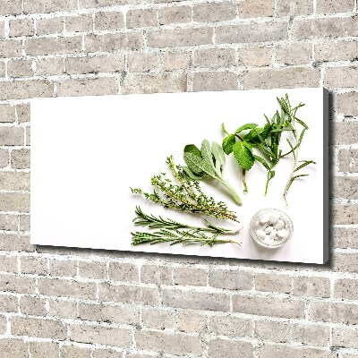 Tableau imprimé sur toile Herbes