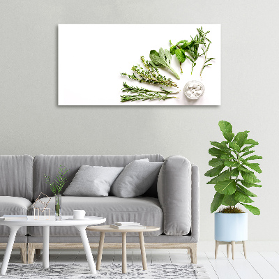 Tableau imprimé sur toile Herbes