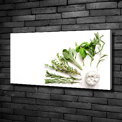 Tableau imprimé sur toile Herbes