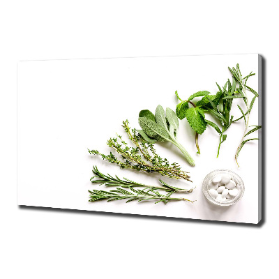 Tableau imprimé sur toile Herbes