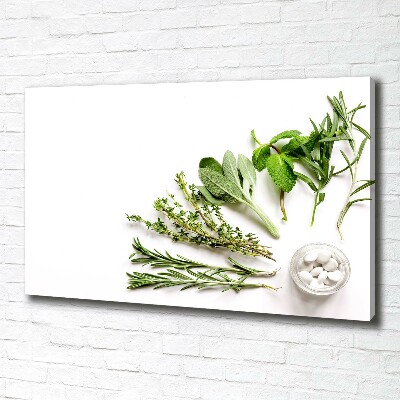 Tableau imprimé sur toile Herbes