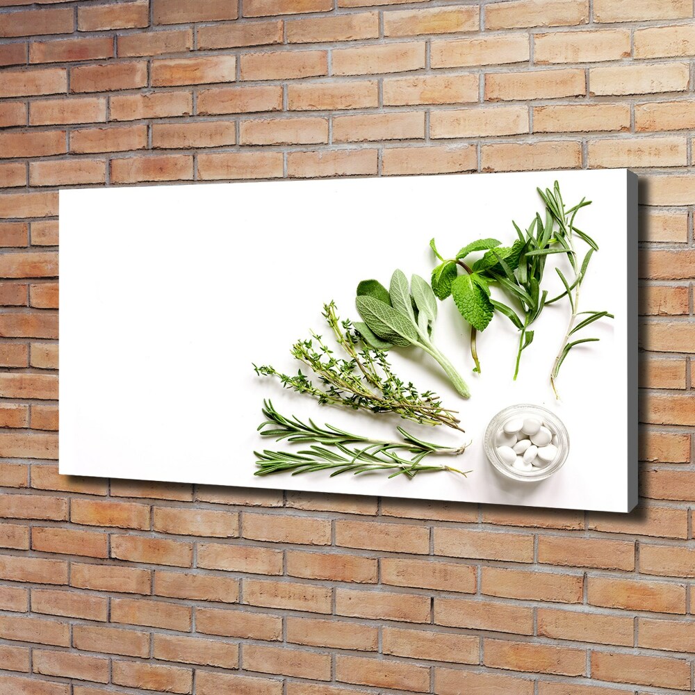 Tableau imprimé sur toile Herbes