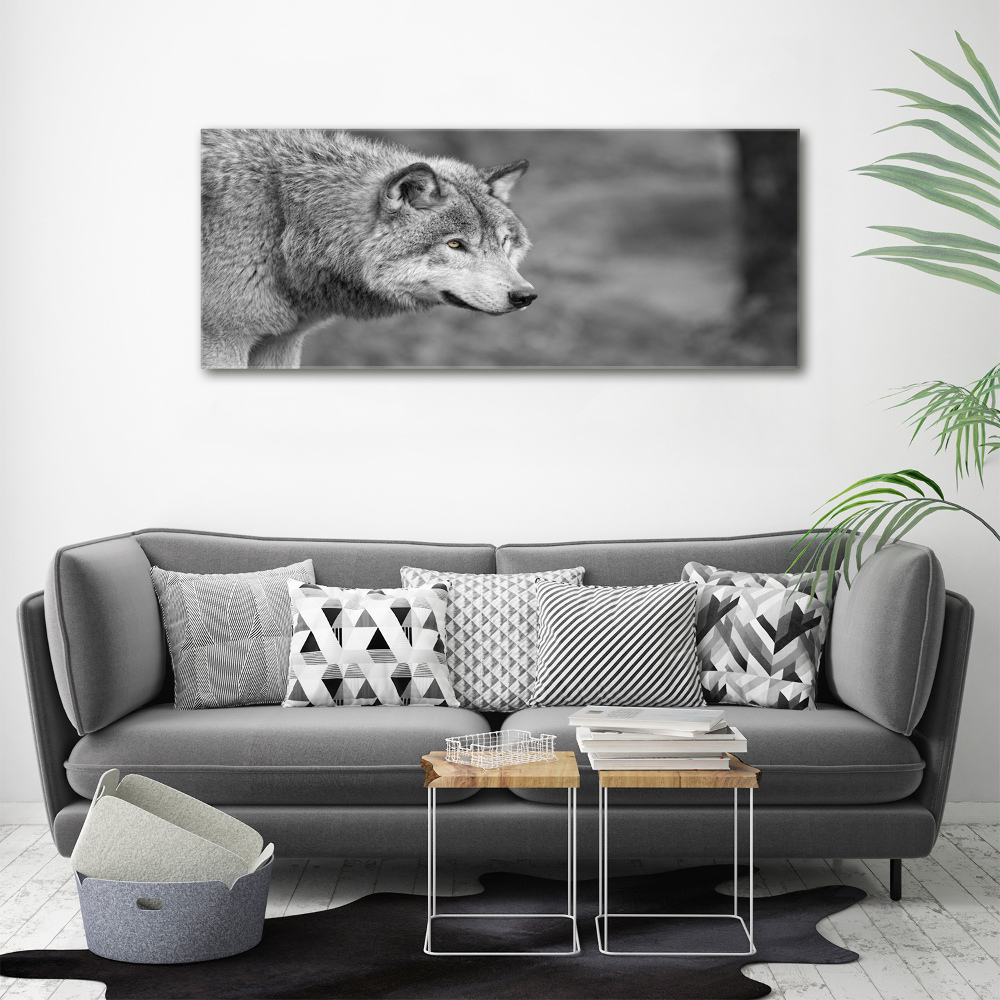 Tableau toile imprimée Loup gris