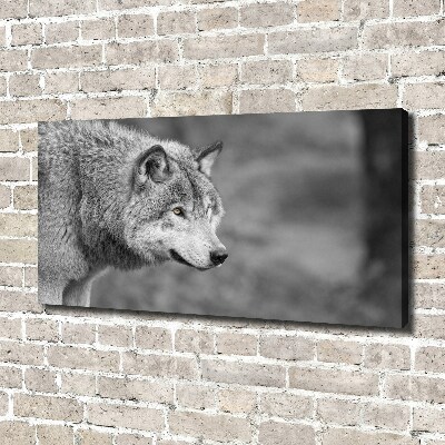 Tableau toile imprimée Loup gris