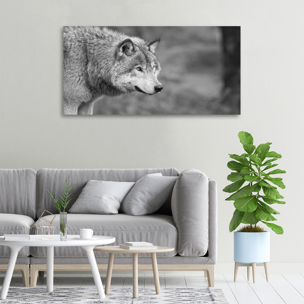 Tableau toile imprimée Loup gris