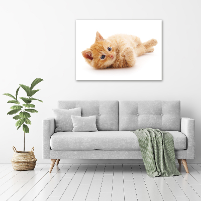 Tableau photo sur toile Chat rouge