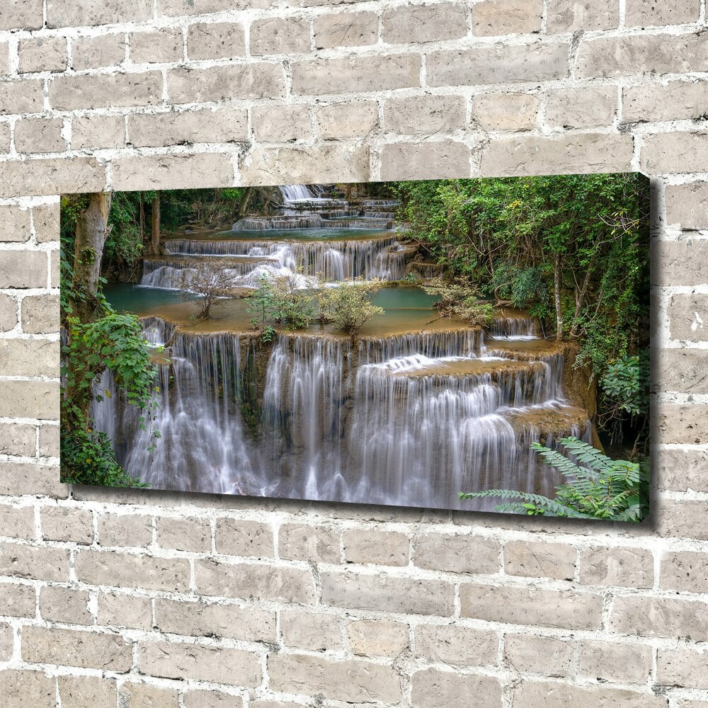 Tableau imprimé sur toile Cascade dans la forêt