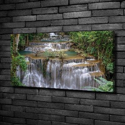 Tableau imprimé sur toile Cascade dans la forêt