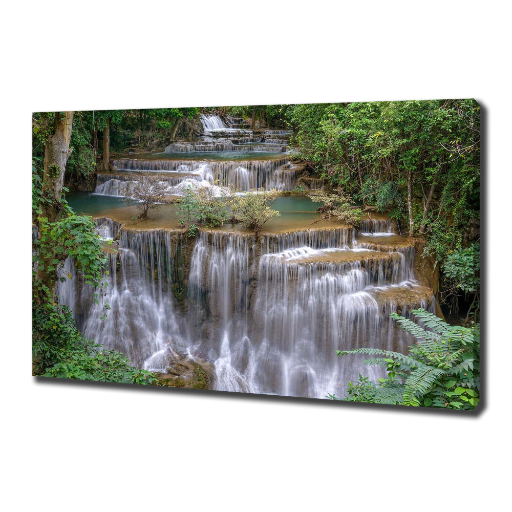 Tableau imprimé sur toile Cascade dans la forêt