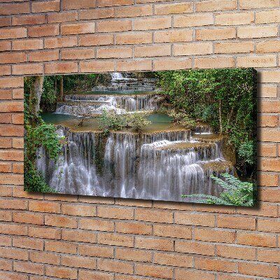 Tableau imprimé sur toile Cascade dans la forêt