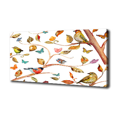 Tableau photo sur toile Oiseaux et papillons