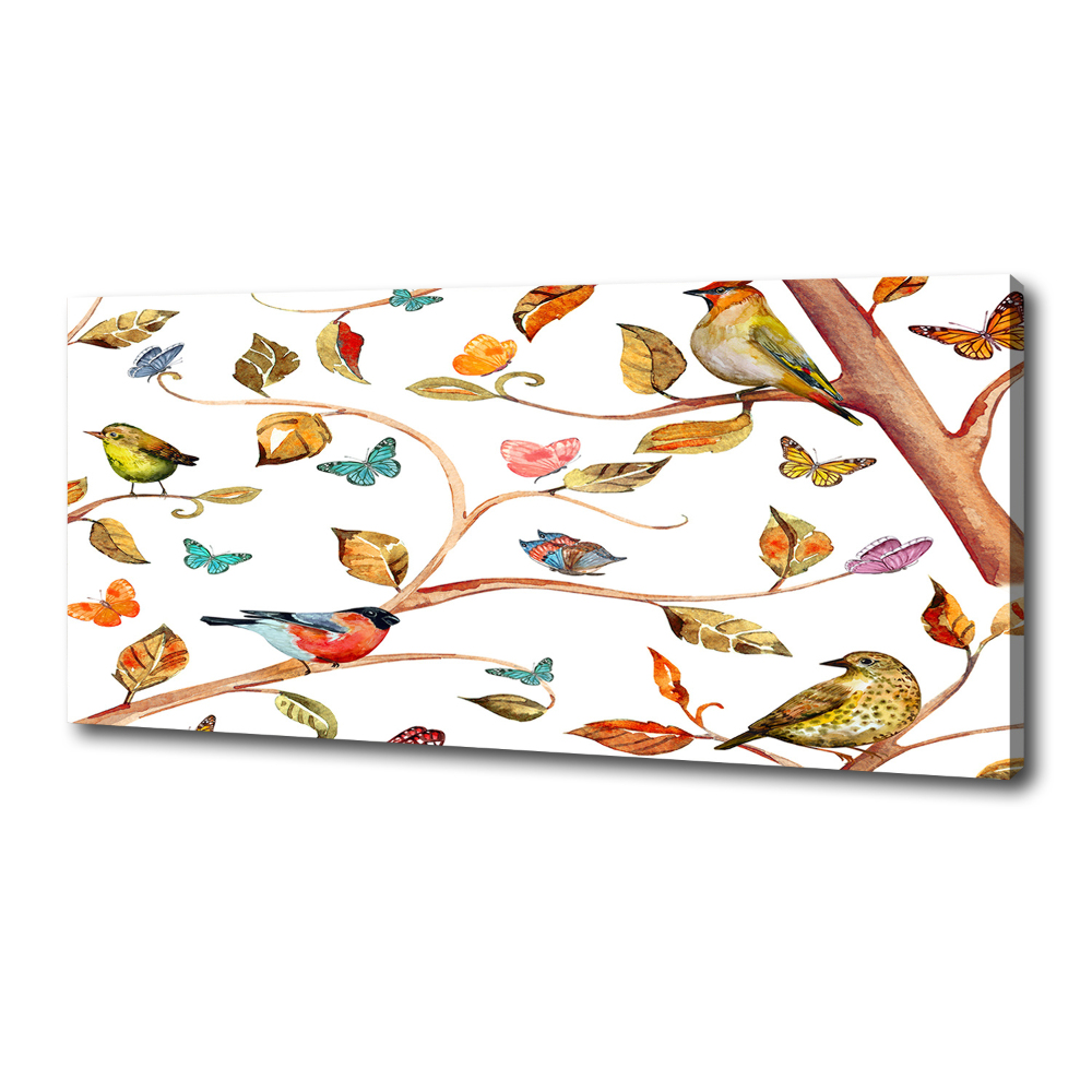 Tableau photo sur toile Oiseaux et papillons