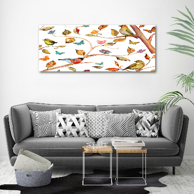 Tableau photo sur toile Oiseaux et papillons